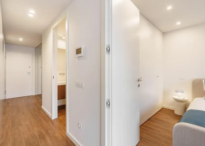 196 Andrade Corvo Collection By Minhos Guest